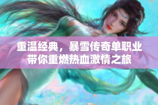 重温经典，暴雪传奇单职业带你重燃热血激情之旅