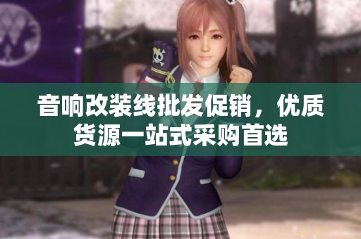 音响改装线批发促销，优质货源一站式采购首选