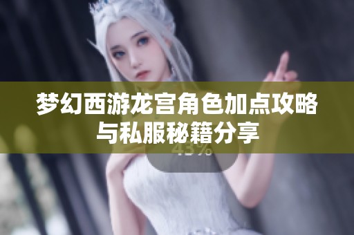 梦幻西游龙宫角色加点攻略与私服秘籍分享