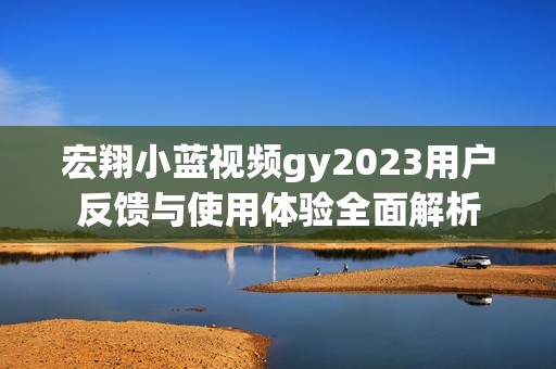 宏翔小蓝视频gy2023用户反馈与使用体验全面解析