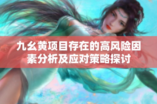 九幺黄项目存在的高风险因素分析及应对策略探讨