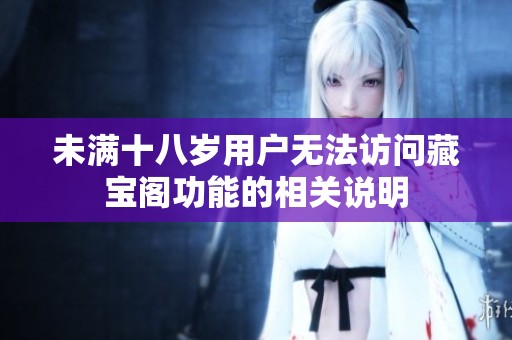 未满十八岁用户无法访问藏宝阁功能的相关说明