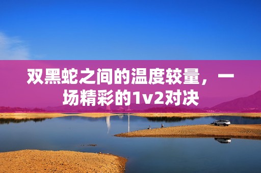 双黑蛇之间的温度较量，一场精彩的1v2对决