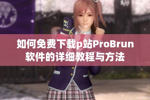 如何免费下载p站ProBrun软件的详细教程与方法