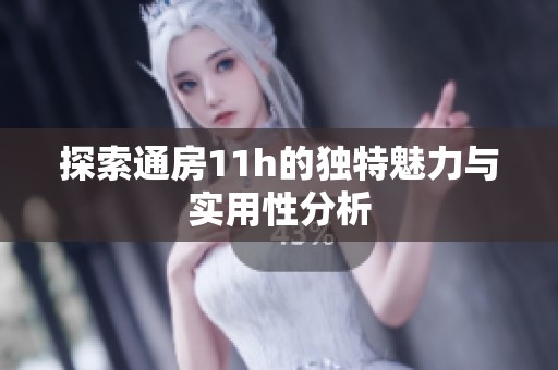探索通房11h的独特魅力与实用性分析
