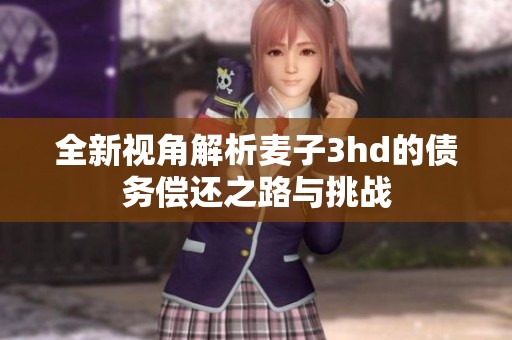 全新视角解析麦子3hd的债务偿还之路与挑战