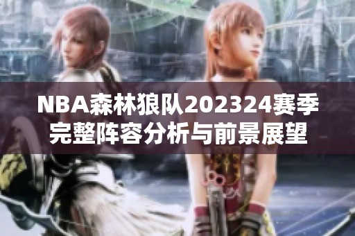 NBA森林狼队202324赛季完整阵容分析与前景展望