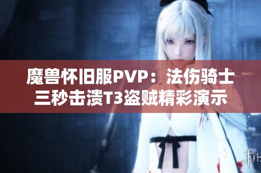 魔兽怀旧服PVP：法伤骑士三秒击溃T3盗贼精彩演示