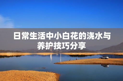 日常生活中小白花的浇水与养护技巧分享