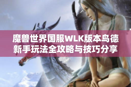 魔兽世界国服WLK版本鸟德新手玩法全攻略与技巧分享