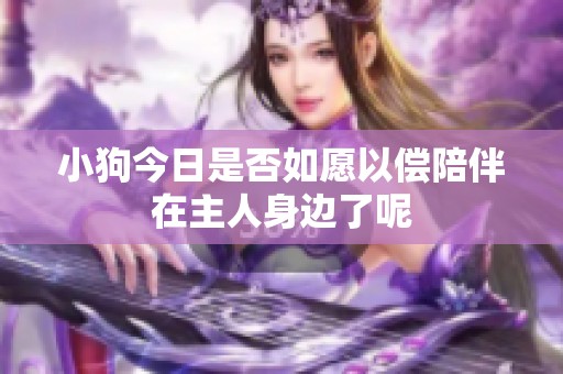 小狗今日是否如愿以偿陪伴在主人身边了呢