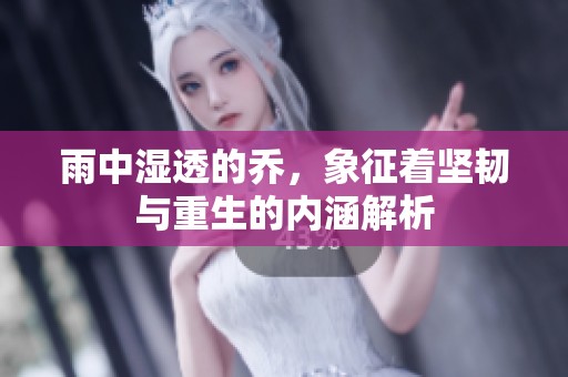 雨中湿透的乔，象征着坚韧与重生的内涵解析