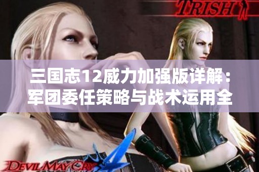 三国志12威力加强版详解：军团委任策略与战术运用全攻略