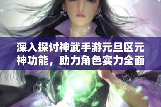 深入探讨神武手游元旦区元神功能，助力角色实力全面提升攻略