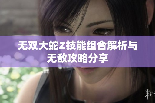 无双大蛇Z技能组合解析与无敌攻略分享