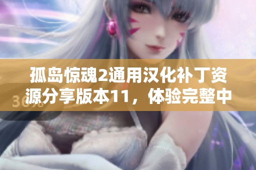 孤岛惊魂2通用汉化补丁资源分享版本11，体验完整中文游戏乐趣