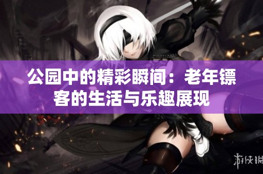 公园中的精彩瞬间：老年镖客的生活与乐趣展现