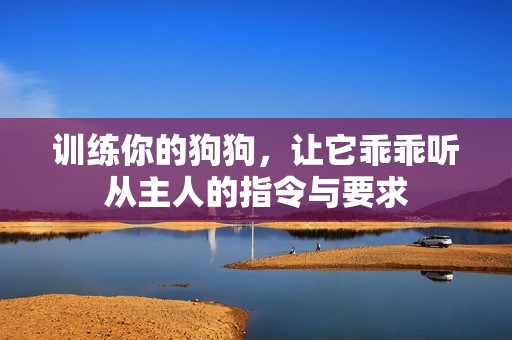 训练你的狗狗，让它乖乖听从主人的指令与要求