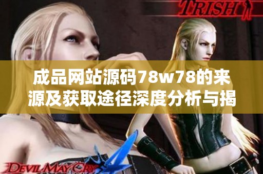 成品网站源码78w78的来源及获取途径深度分析与揭秘