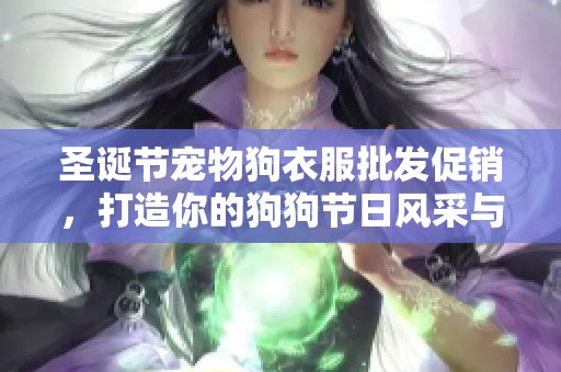 圣诞节宠物狗衣服批发促销，打造你的狗狗节日风采与个性