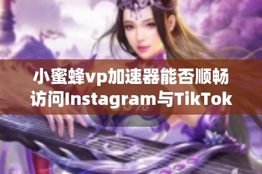 小蜜蜂vp加速器能否顺畅访问Instagram与TikTok的解析与指南