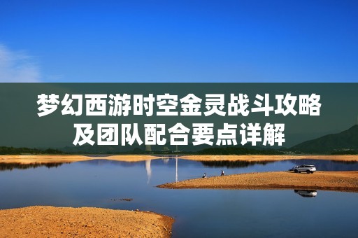 梦幻西游时空金灵战斗攻略及团队配合要点详解