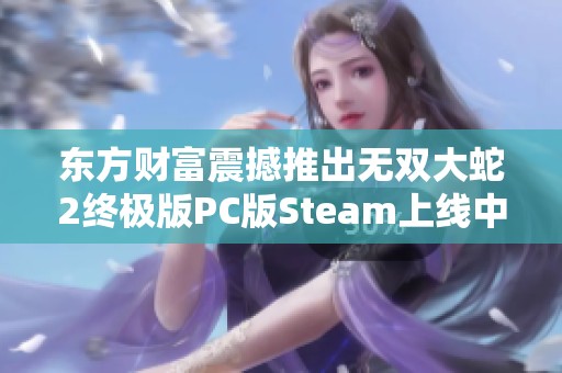 东方财富震撼推出无双大蛇2终极版PC版Steam上线中文支持