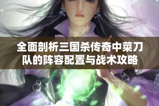 全面剖析三国杀传奇中菜刀队的阵容配置与战术攻略