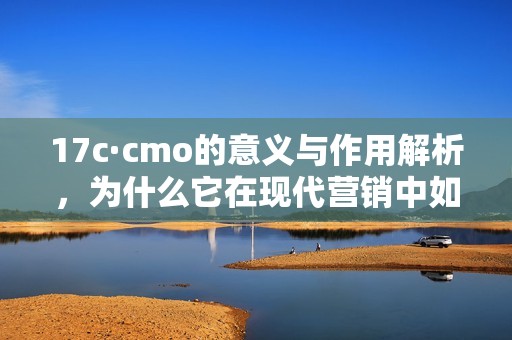 17c·cmo的意义与作用解析，为什么它在现代营销中如此重要