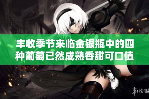 丰收季节来临金银瓶中的四种葡萄已然成熟香甜可口值得一尝