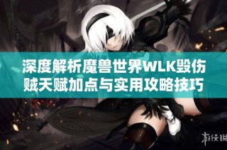 深度解析魔兽世界WLK毁伤贼天赋加点与实用攻略技巧