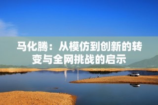 马化腾：从模仿到创新的转变与全网挑战的启示