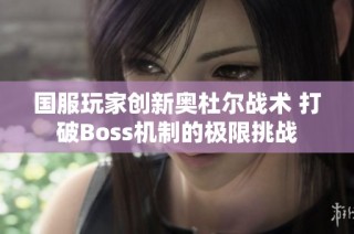 国服玩家创新奥杜尔战术 打破Boss机制的极限挑战