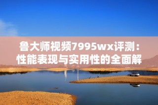 鲁大师视频7995wx评测：性能表现与实用性的全面解读