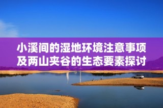 小溪间的湿地环境注意事项及两山夹谷的生态要素探讨