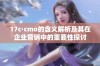 17c·cmo的含义解析及其在企业营销中的重要性探讨