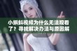 小蝌蚪视频为什么无法观看了？寻找解决办法与原因解析