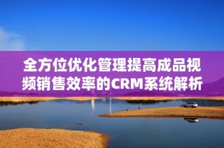 全方位优化管理提高成品视频销售效率的CRM系统解析