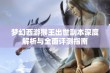 梦幻西游猴王出世副本深度解析与全面评测指南