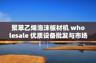 聚苯乙烯泡沫板材机 wholesale 优质设备批发与市场促销价格全揭秘