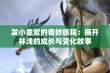 发小重聚的奇妙旅程：揭开林浅的成长与变化故事