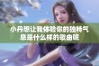 小丹想让我体验你的独特气息是什么样的歌曲呢