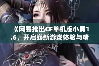 《网易推出CF单机版小勇1.6，开启崭新游戏体验与精彩冒险》