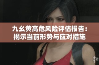 九幺黄高危风险评估报告：揭示当前形势与应对措施
