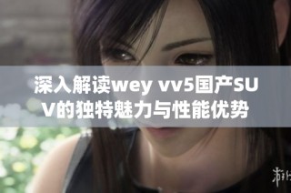 深入解读wey vv5国产SUV的独特魅力与性能优势