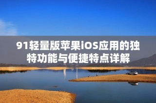 91轻量版苹果iOS应用的独特功能与便捷特点详解