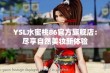 YSL水蜜桃86官方旗舰店：尽享自然美妆新体验