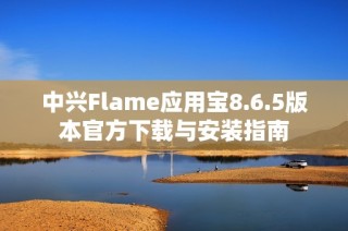 中兴Flame应用宝8.6.5版本官方下载与安装指南