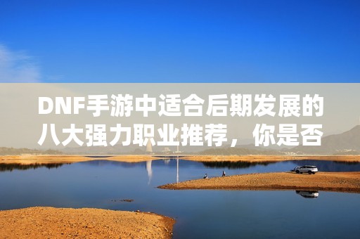 DNF手游中适合后期发展的八大强力职业推荐，你是否已做出选择？