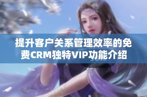 提升客户关系管理效率的免费CRM独特VIP功能介绍